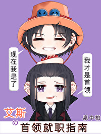 [综漫] 艾斯的首领就职指南